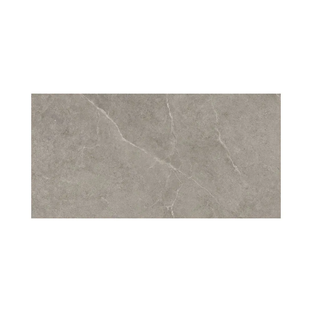 Greige 24X48 Matte