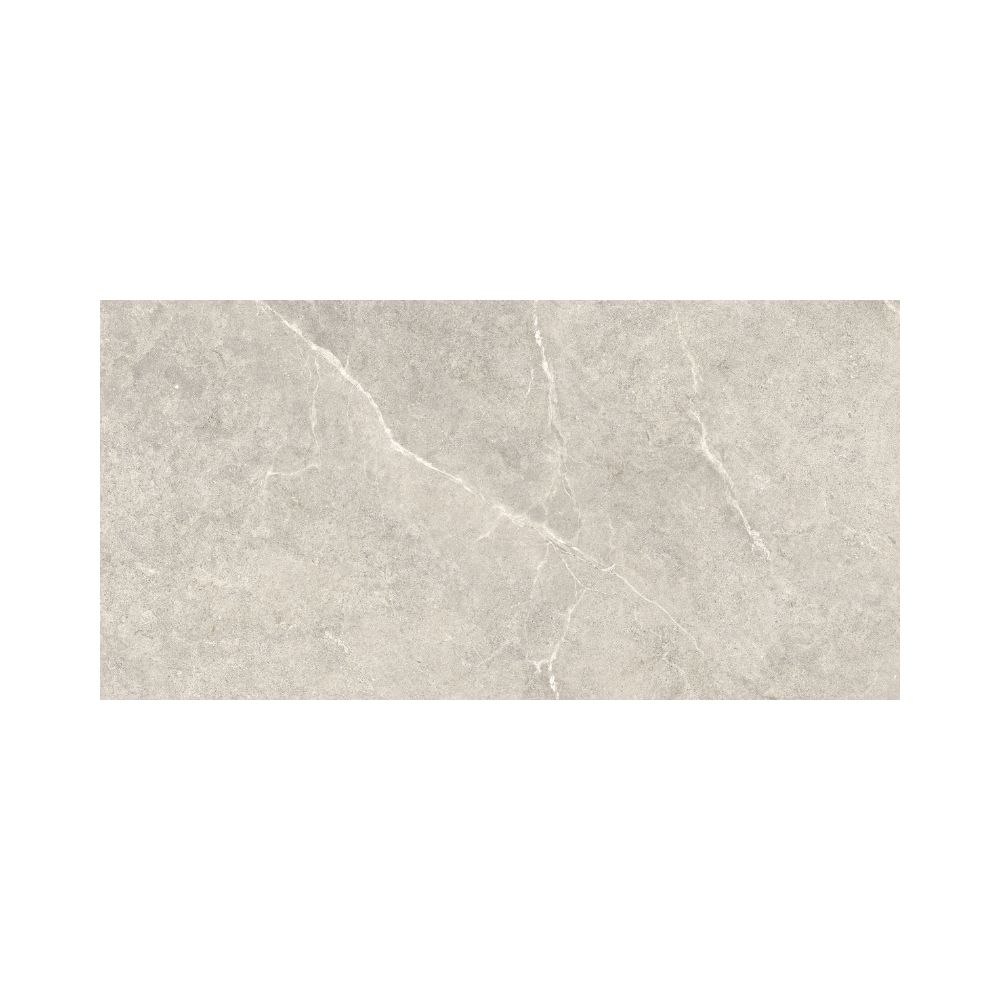 Silver 24X48 Matte