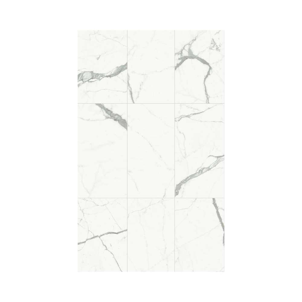 Bianco Ven.Extra 24X48 Polished - Image 2