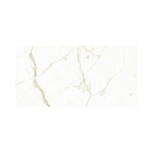 White Calacatta 24X48 Polished