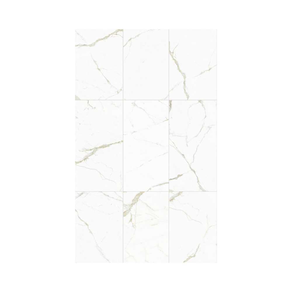 White Calacatta 24X48 Polished - Image 2