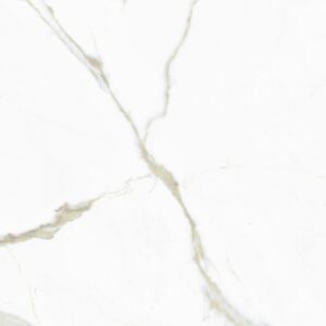 White Calacatta 24X24 Polished