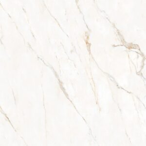 Calacatta Oro 48X48 Honed Matte