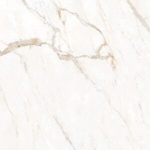 Calacatta Oro 48X48 Polished