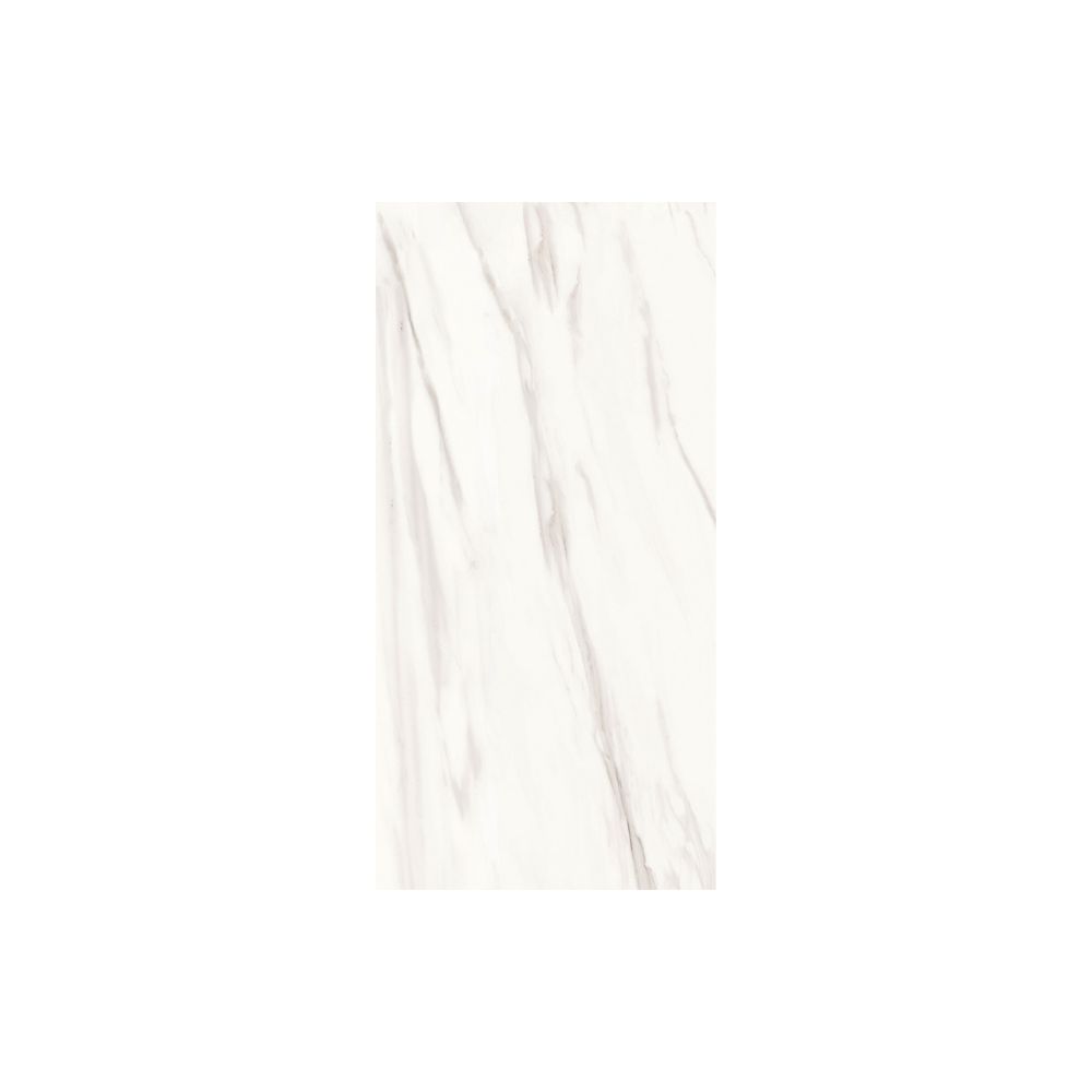 Venato 12X24 Matte