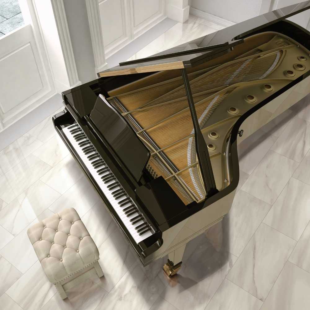 Venato 12X24 Polished - Image 2