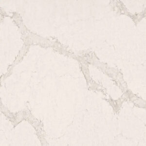 Calacatta Nuvo